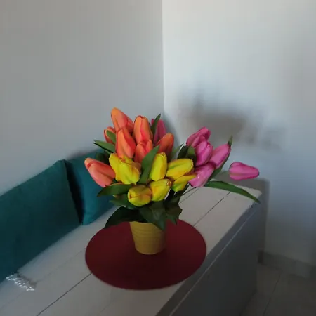 A Casa Di Frida & Mika - Comodo Punto Di Sosta - Vicino A Tutti I Servizi - A 20 Minuti Dall'autostrada Civita Castellana